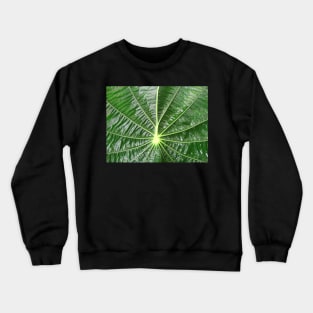 green leaf of a plant, leaves, green, nature, natural, floral, flora Crewneck Sweatshirt